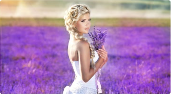 Lorem Ipsum is simply dummy text 7